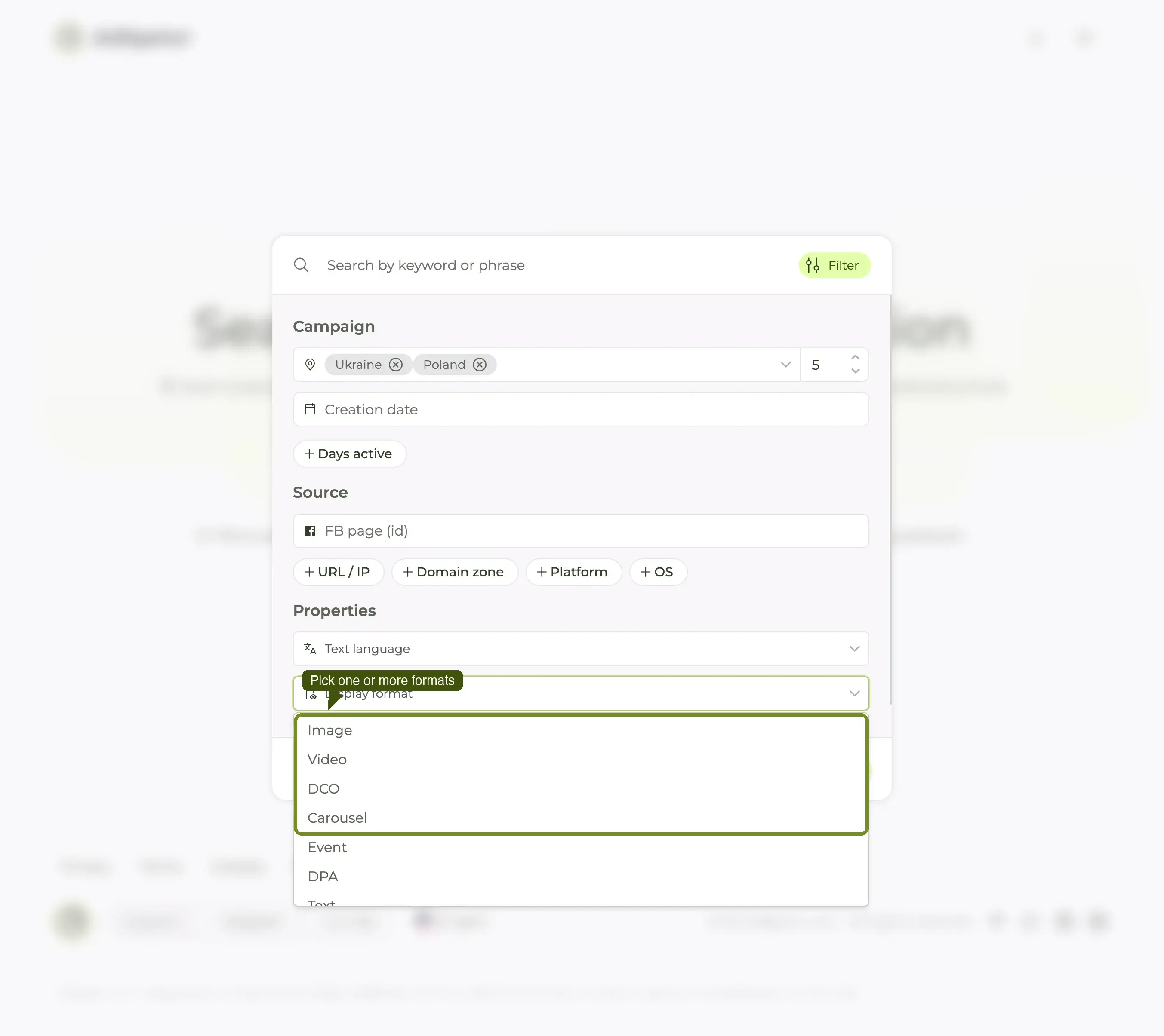 Display format dropdown expanded: Image, Video, DCO, Carousel, Event, DPA, Text and more.