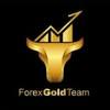Forex trade team avatar