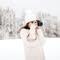 Fedi Gioia Photography avatar