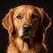 Theodore Woofle avatar