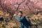 Backpackervun avatar