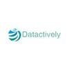 Datactively avatar