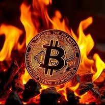 alphawolfcrypto1 avatar