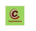 Copicemicros.PI08 avatar