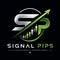 Signal Pips avatar
