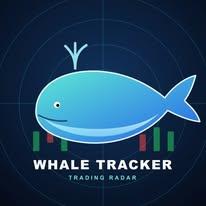 whaletracker_official avatar
