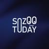 Sozoo Today avatar