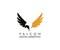 Falcon Digitalz avatar