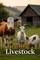 Legacy Livestock avatar