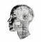 Digilibraryhub avatar