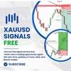 Xauusd Acemedy avatar