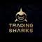 Trading Sharks Highlights avatar