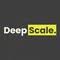 DeepScale avatar