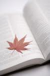 Read A Good Book avatar