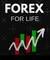 Forex trading investment company LTD avatar