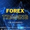 Forex Trading investments Company avatar