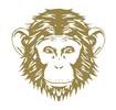 Omneky Ads avatar
