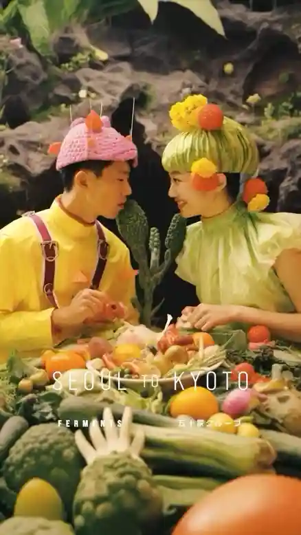 Ferments, 퍼멘츠 creative