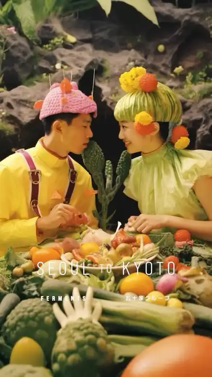 Ferments, 퍼멘츠 creative